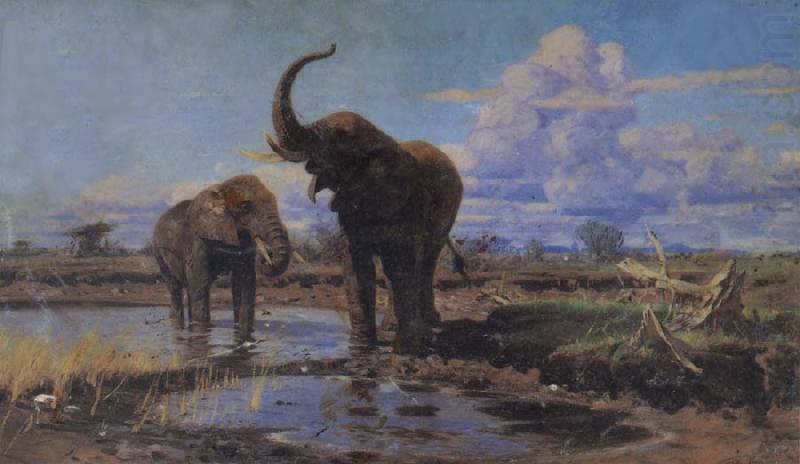 unknow artist Elephant china oil painting image